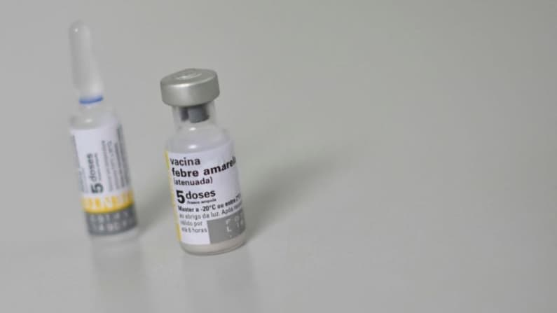 Panamá intensifica la vigilancia epidemiológica ante caso de fiebre amarilla en Costa Rica