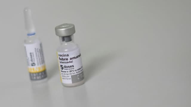 Panamá intensifica la vigilancia epidemiológica ante caso de fiebre amarilla en Costa Rica