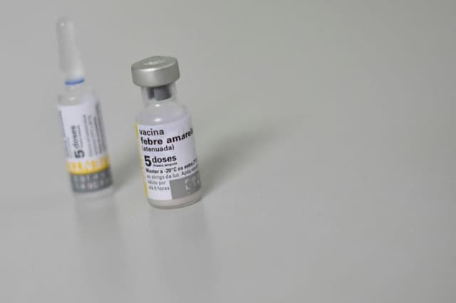 Panamá intensifica la vigilancia epidemiológica ante caso de fiebre amarilla en Costa Rica