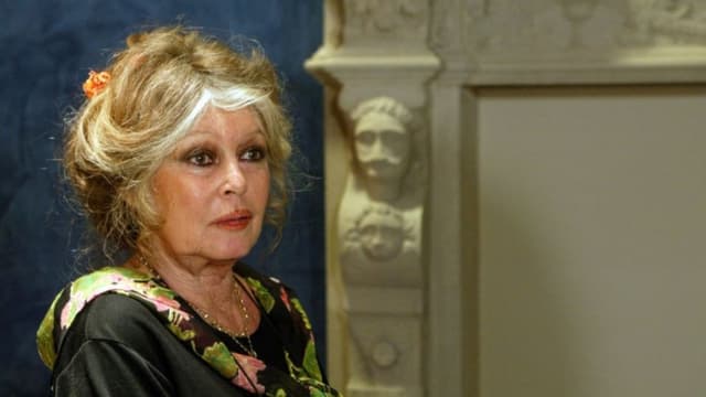Brigitte Bardot, hospitalizada en Francia por una enfermedad grave