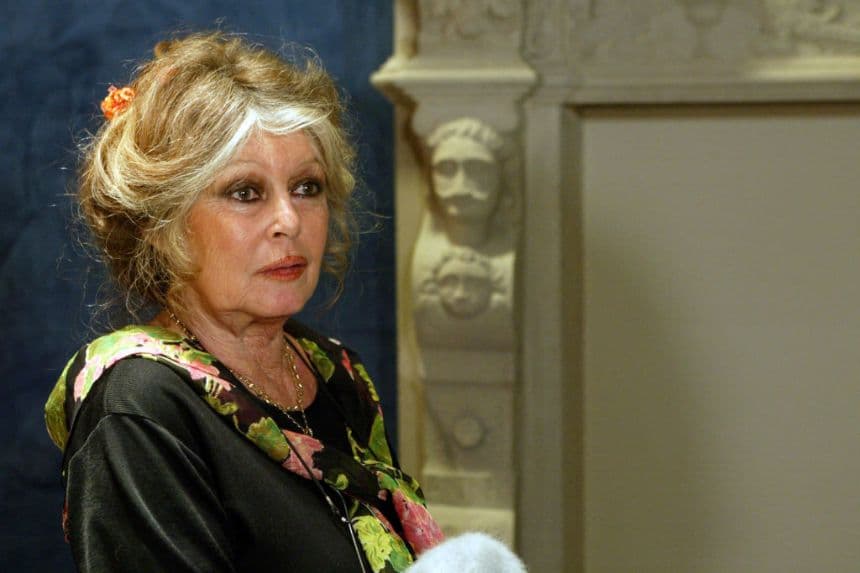 La actriz Brigitte Bardot habla el 6 de mayo de 2003 en una oficina de la Asamblea Nacional en París, donde su fundación organizó una conferencia sobre el transporte de animales destinados al consumo. (JACK GUEZ/AFP vía Getty Images)