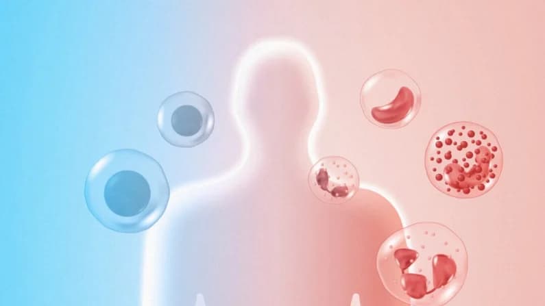 Descubrimiento del Nobel podría transformar el tratamiento autoinmune y del cáncer