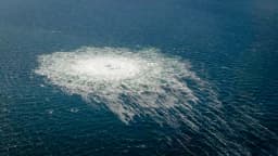 Polonia se niega a entregar a Alemania al presunto saboteador del Nord Stream