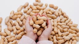 Las alergias al cacahuate en los niños disminuyen significativamente, según estudio