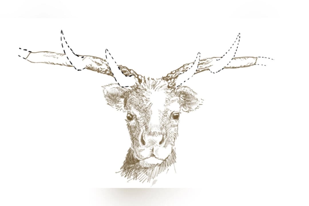 Un boceto de cómo pudo ser el "Ciervo del Metro" de Toronto, según el hallazgo fósil. (Cortesía de la Universidad de Trent).