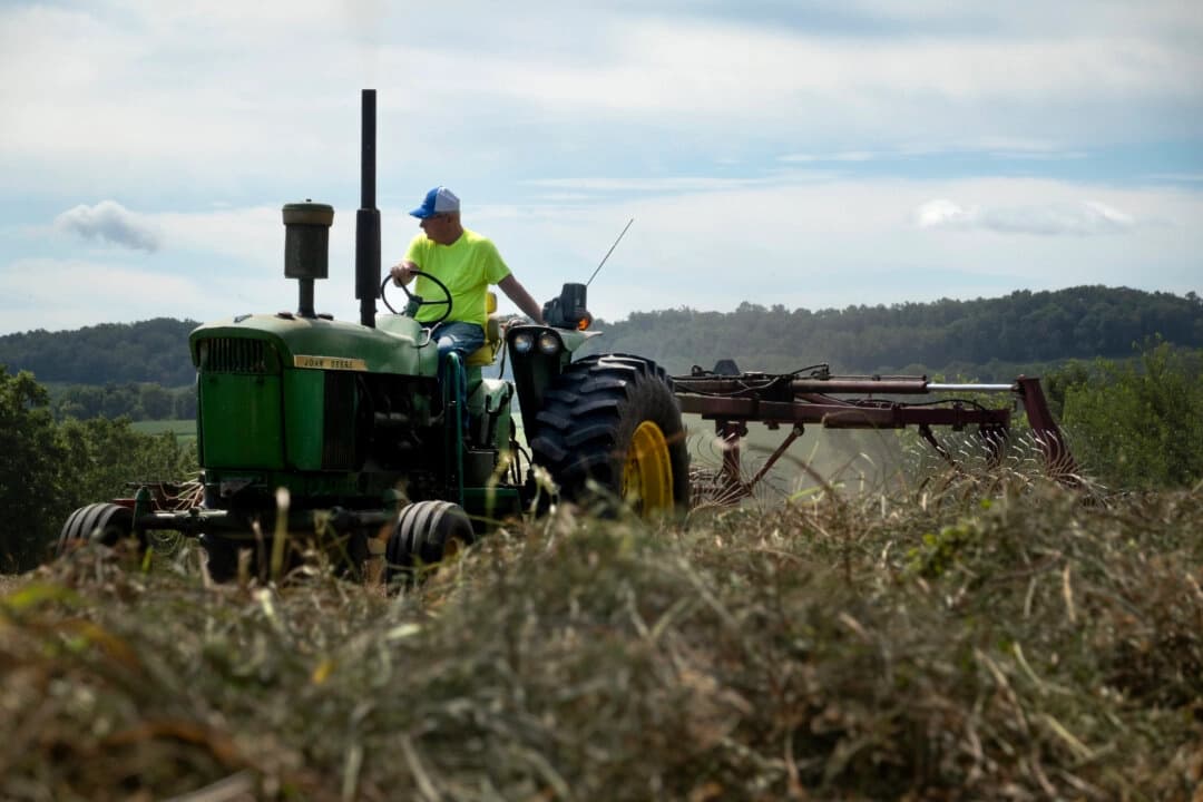 USDA de EE. UU. reanudará la ayuda a agricultores, suspendida por el cierre del gobierno