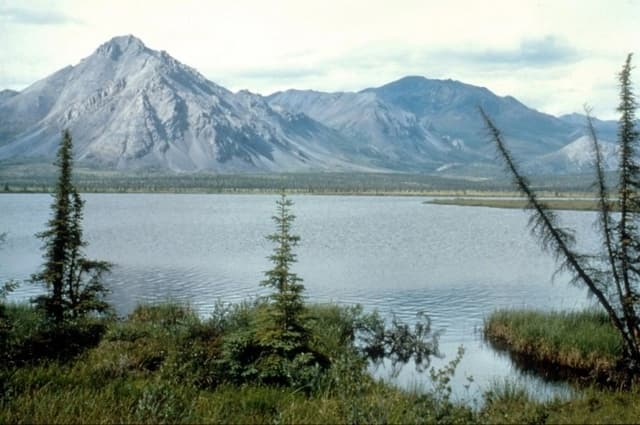Administración Trump reabre refugio de vida silvestre en Alaska para explotar petróleo y gas