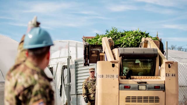 Oklahoma sigue cerrando operaciones de cultivo de marihuana