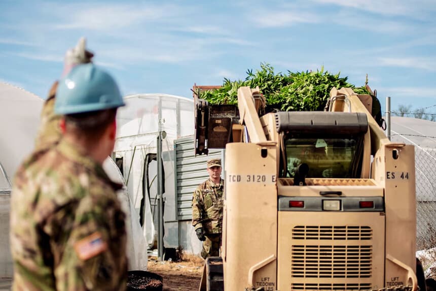 Miembros de la Guardia Nacional de Oklahoma cargan plantas de marihuana erradicadas durante una operación interinstitucional contra el cultivo y el tráfico ilegales en Oklahoma City, el 22 de febrero de 2022. (Cortesía de la Guardia Nacional de Oklahoma).