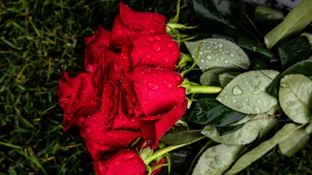 Muere Isabelle Tate, actriz de “9-1-1: Nashville” por rara enfermedad neuromuscular, a los 23 años