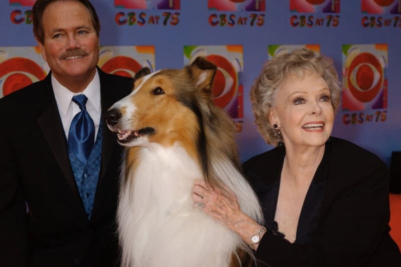 June Lockhart (derecha), quien interpretó a Ruth Martin, madre de Timmy Martin, interpretado por Jon Provost (izquierda), en la clásica serie "Lassie", posa para una fotografía con Lassie, de novena generación, durante la llegada a la celebración del 75.º aniversario de CBS en la ciudad de Nueva York, el 2 de noviembre de 2003. (Louis Lanzano/AP Photo)