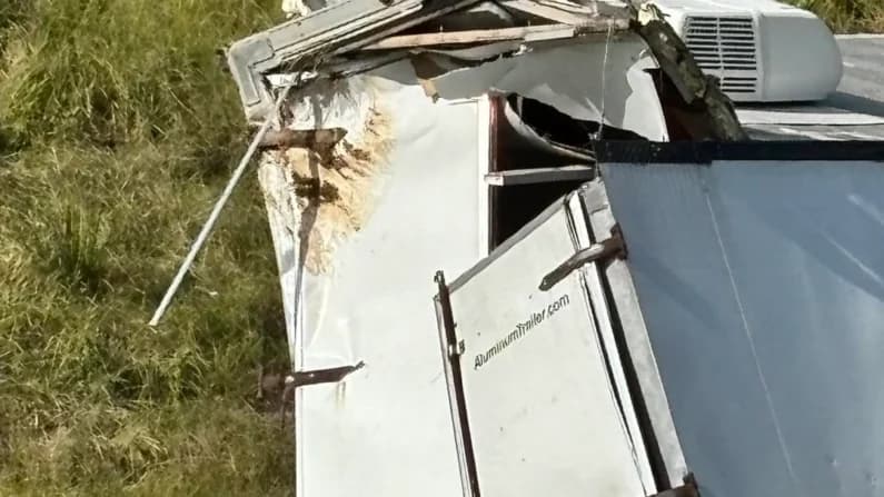 Vuelca camión que transportaba monos infectados con COVID y herpes