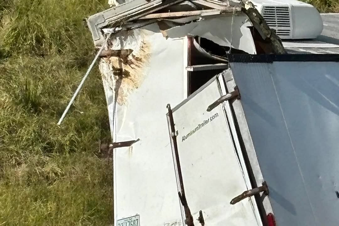 Los agentes del sheriff del condado de Jasper, Mississippi, pudieron acorralar a todos menos uno de los monos que escaparon cuando un camión volcó el 28 de octubre de 2025. (Departamento del Sheriff del condado de Jasper)