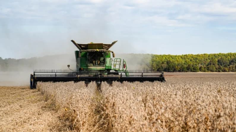 China acuerda comprar 25 millones de toneladas métricas de soja estadounidense al año: Bessent