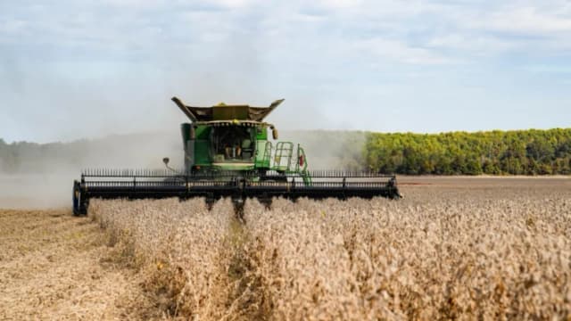 China acuerda comprar 25 millones de toneladas métricas de soja estadounidense al año: Bessent