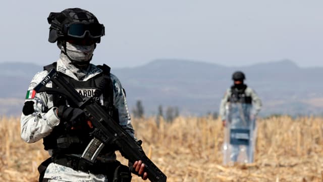 Más de 100,000 kg de droga incautada y 8000 detenidos son el resultado de la Operación Frontera Norte