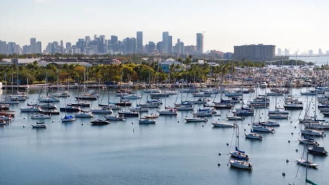 Una vista desde un dron muestra veleros amarrados junto al Club de Vela de Coconut Grove y el perfil urbano del centro de Miami, Florida, el 16 de abril de 2025. (Marco Bello/Reuters)