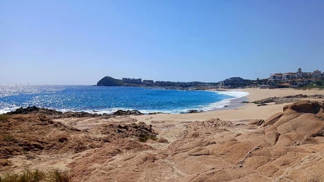 Foro Mar de Cortés urge a gobiernos y empresas a unir fuerzas para enfrentar retos ambientales