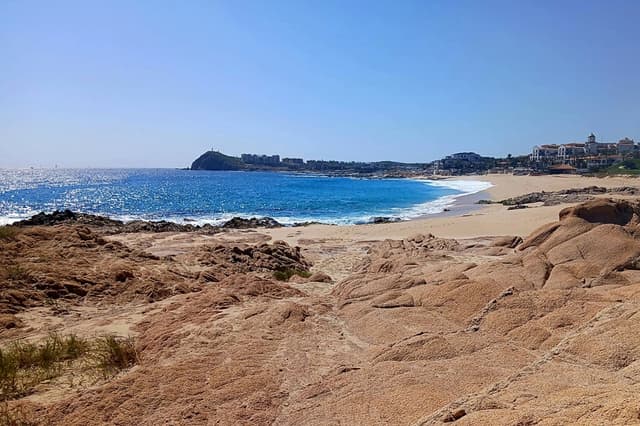 Foro Mar de Cortés urge a gobiernos y empresas a unir fuerzas para enfrentar retos ambientales