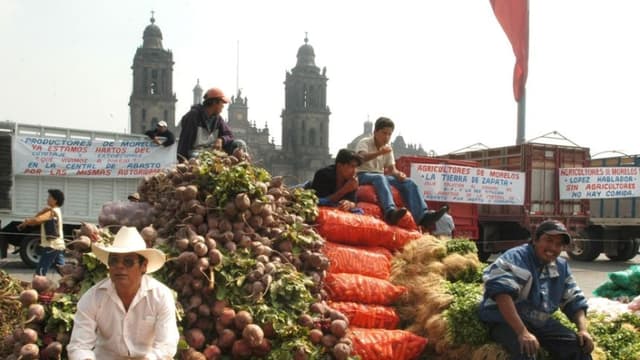 Campesinos piden al gobierno frenar la “peor crisis agrícola en décadas”
