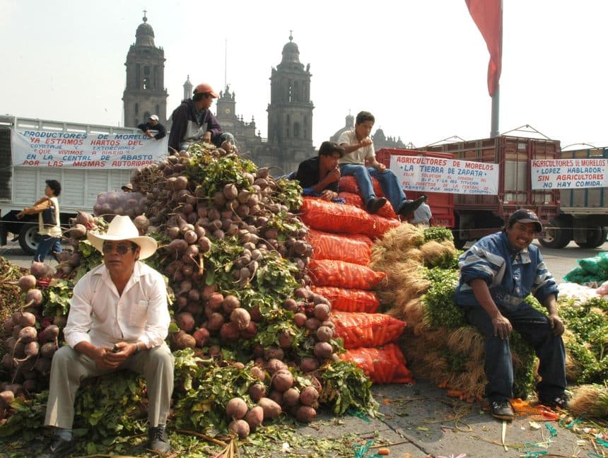 Campesinos mexicanos toman un descanso junto a su verdura que regalaron como forma de protesta en la plaza principal de la capital mexicana. Imagen de archivo. (EFE/Mario Guzmán)