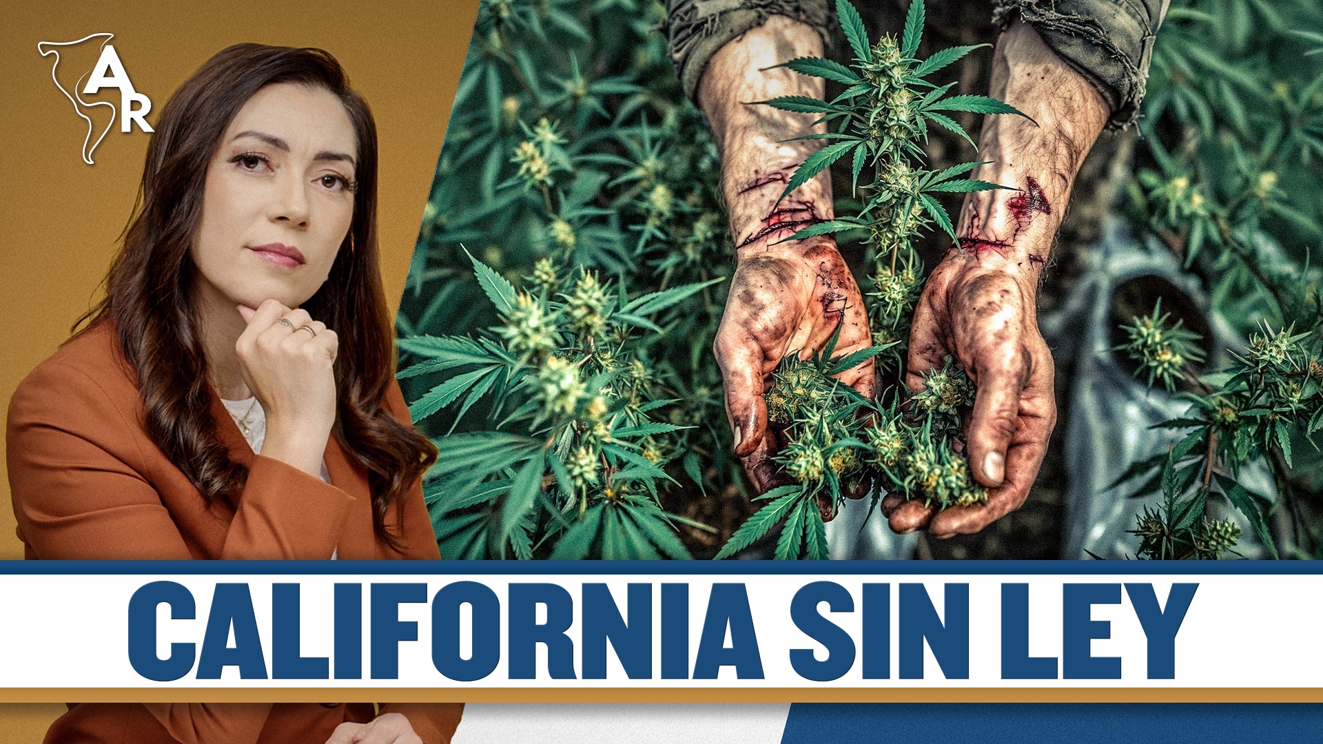 Imagen de Narcos en California | Esclavitud, miedo y silencio