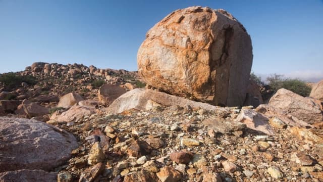 Beijing levanta las últimas restricciones a tierras raras y reanuda licencias para la soja