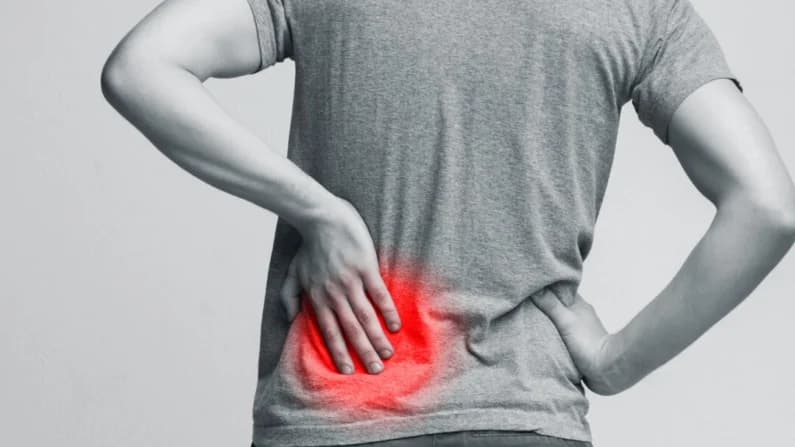 La enfermedad renal crónica es la novena causa principal de muerte y afecta a casi 800 millones de personas