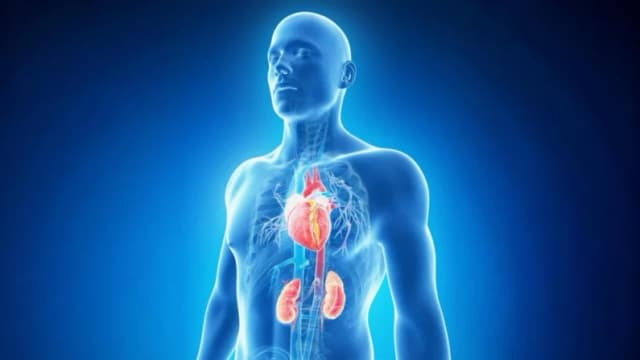 (3dMediSphere/Shutterstock)