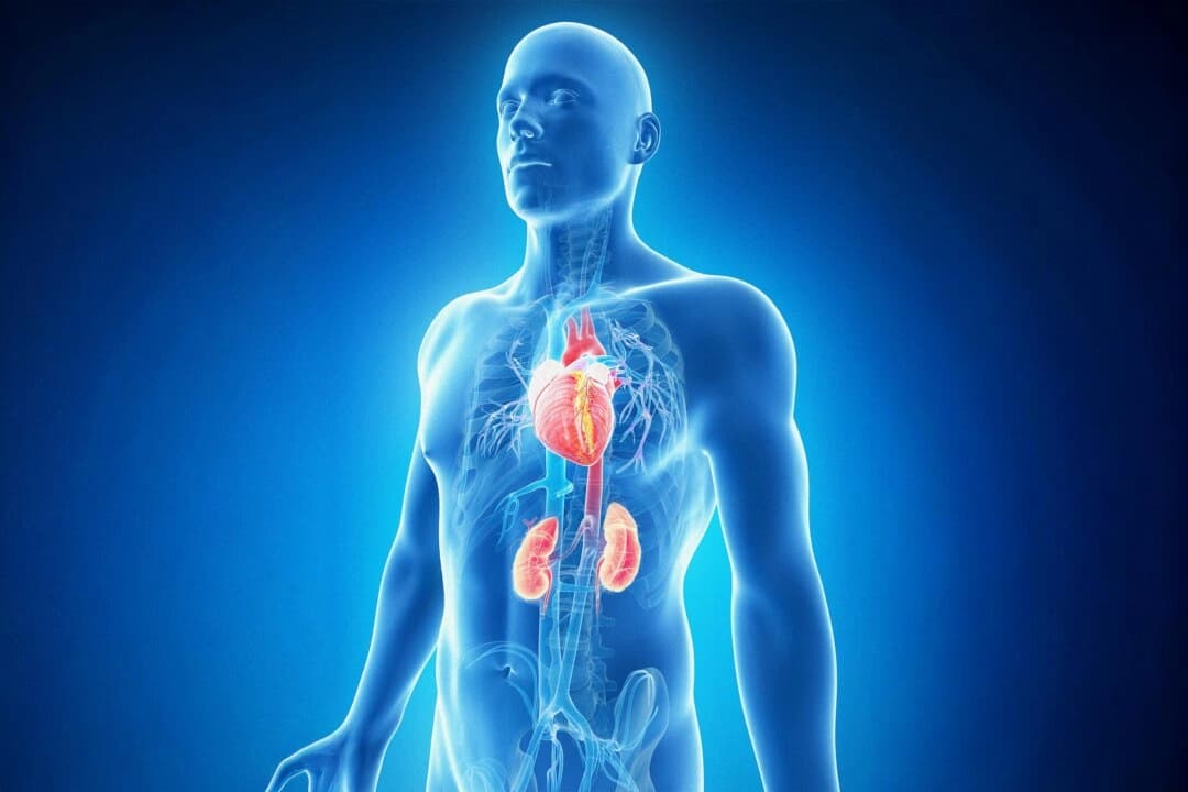 El nuevo síndrome que afecta al 90% de los estadounidenses, y quizá nunca lo haya escuchado