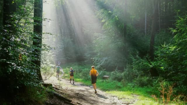 (Jaroslaw Piwowarski/Shutterstock)