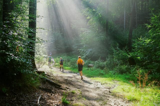 Siete hábitos cotidianos que elevan la presión arterial y cómo revertirlos