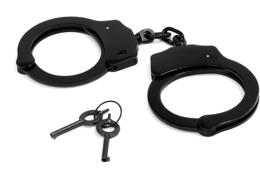 Imagen Ilustrativa: (WikimediaImages en Pixabay).