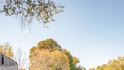 Exabogado ahora agricultor, derrota a inspectores de carne y lucha contra químicos en alimentos