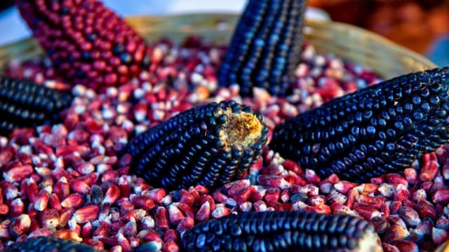 Vista del maíz en la cocina del colectivo Mujeres de la Tierra, en Milpa Alta, Ciudad de México, el 16 de febrero de 2021. - El colectivo Mujeres de la Tierra se creó en mayo de 2020 con el objetivo de ayudar a las sobrevivientes de violencia doméstica a generar ingresos en medio de la pandemia de COVID-19. (Foto de CLAUDIO CRUZ / AFP) (Foto de CLAUDIO CRUZ/AFP a través de Getty Images)