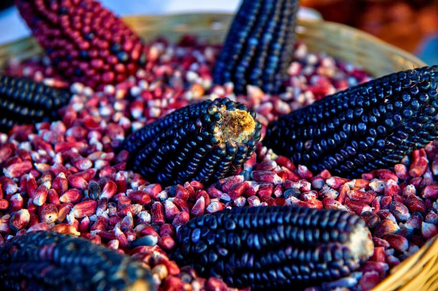 Vista del maíz en la cocina del colectivo Mujeres de la Tierra, en Milpa Alta, Ciudad de México, el 16 de febrero de 2021. - El colectivo Mujeres de la Tierra se creó en mayo de 2020 con el objetivo de ayudar a las sobrevivientes de violencia doméstica a generar ingresos en medio de la pandemia de COVID-19. (Foto de CLAUDIO CRUZ / AFP) (Foto de CLAUDIO CRUZ/AFP a través de Getty Images)
