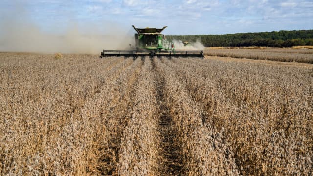 Admón. Trump anunciará paquete de ayuda para agricultores en medio de acuerdo de soya con China