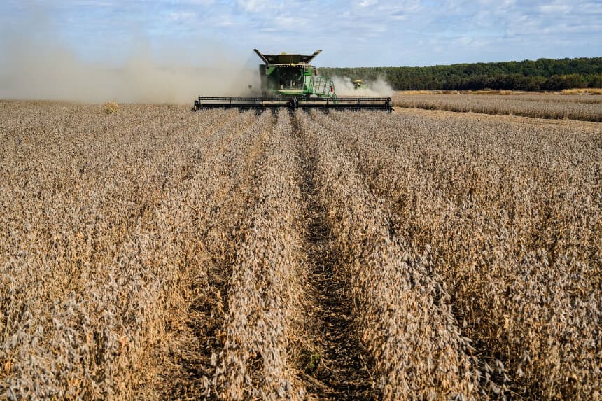 Un agricultor cosecha soja en el condado de Tallahatchie, Misisipi, el 4 de octubre de 2025. (Samira Bouaou/The Epoch Times)