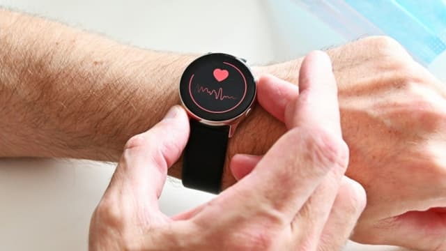 El corazón: El órgano soberano que gobierna la alegría - Formas de nutrirlo