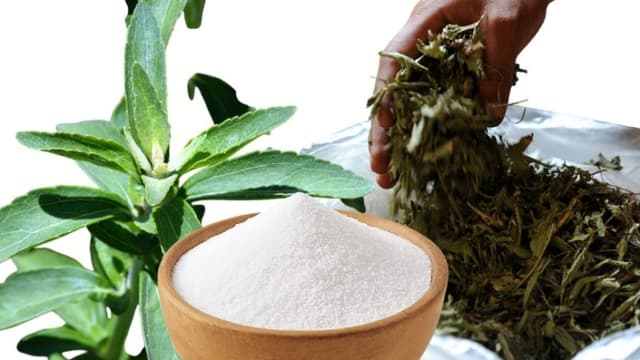 Imagen compuesta. Crédito: (IMAGEMO DESIGN STUDIO/Pixabay, NORBERTO DUARTE/AFP via Getty Images)