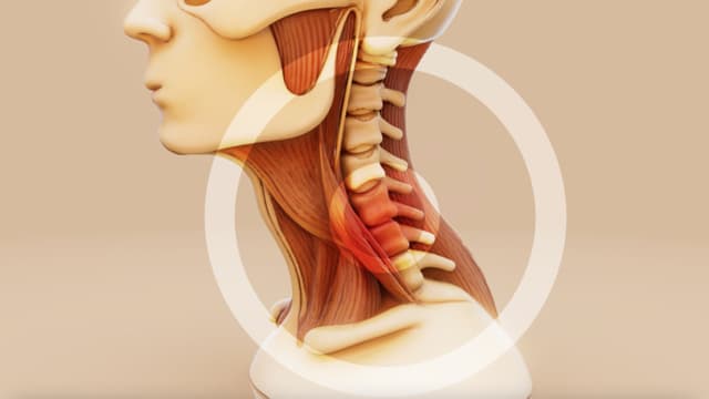 Descubra cómo la quiropráctica puede aliviar el dolor de cuello
