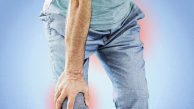 (sebra/Shutterstock)