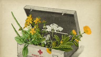 Exmédico militar enseña primeros auxilios con un botiquín que incluye plantas medicinales