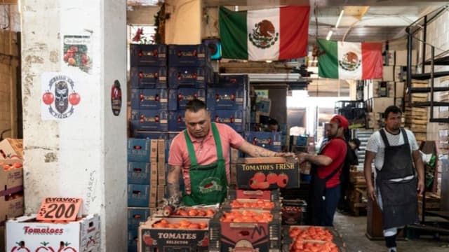 Un vendedor almacena cajas de tomates dentro de un almacén en el mercado de verduras Central de Abasto en la Ciudad de México el 15 de julio de 2025 en la Ciudad de México, México. (Cristopher Rogel Blanquet/Getty Images)