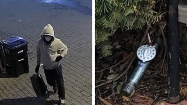 FBI detiene a sospechoso por bombas colocadas en Washington D. C. la noche previa al asalto del 6 de enero