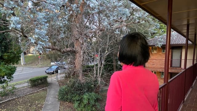 Doce años separados: Familia perseguida aún enfrenta acoso de Beijing