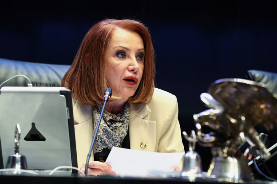 Fotografía cedida por la Cámara de Senadores de México de su presidenta, Laura Itzel Castillo, durante una sesión de trabajo este miércoles, en Ciudad de México (EFE/Cámara de Senadores).