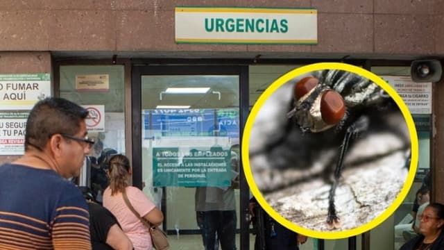 Imagen ilustrativa. Fondo personas en las afueras del servicio de emergencias. (Julio Cesar AGUILAR / AFP) (Photo by JULIO CESAR AGUILAR/AFP via Getty Images) Mosca (MARTIN LELIEVRE/AFP via Getty Images)