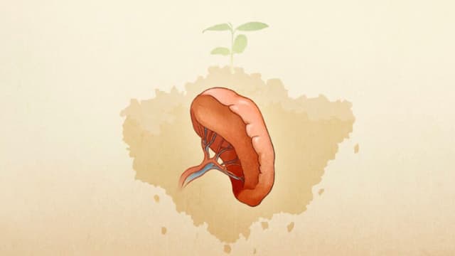 Cómo pensar demasiado puede enfermarlo