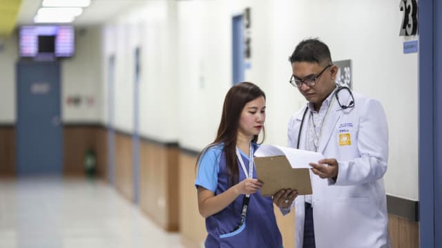 Imagen ilustrativa: (Pixabay/HalcyonMarine).